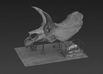 triceratops-vignette-02